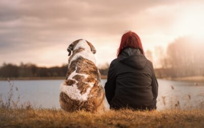 Terapia asistida con perros, eficaz en jóvenes con enfermedad neuromuscular